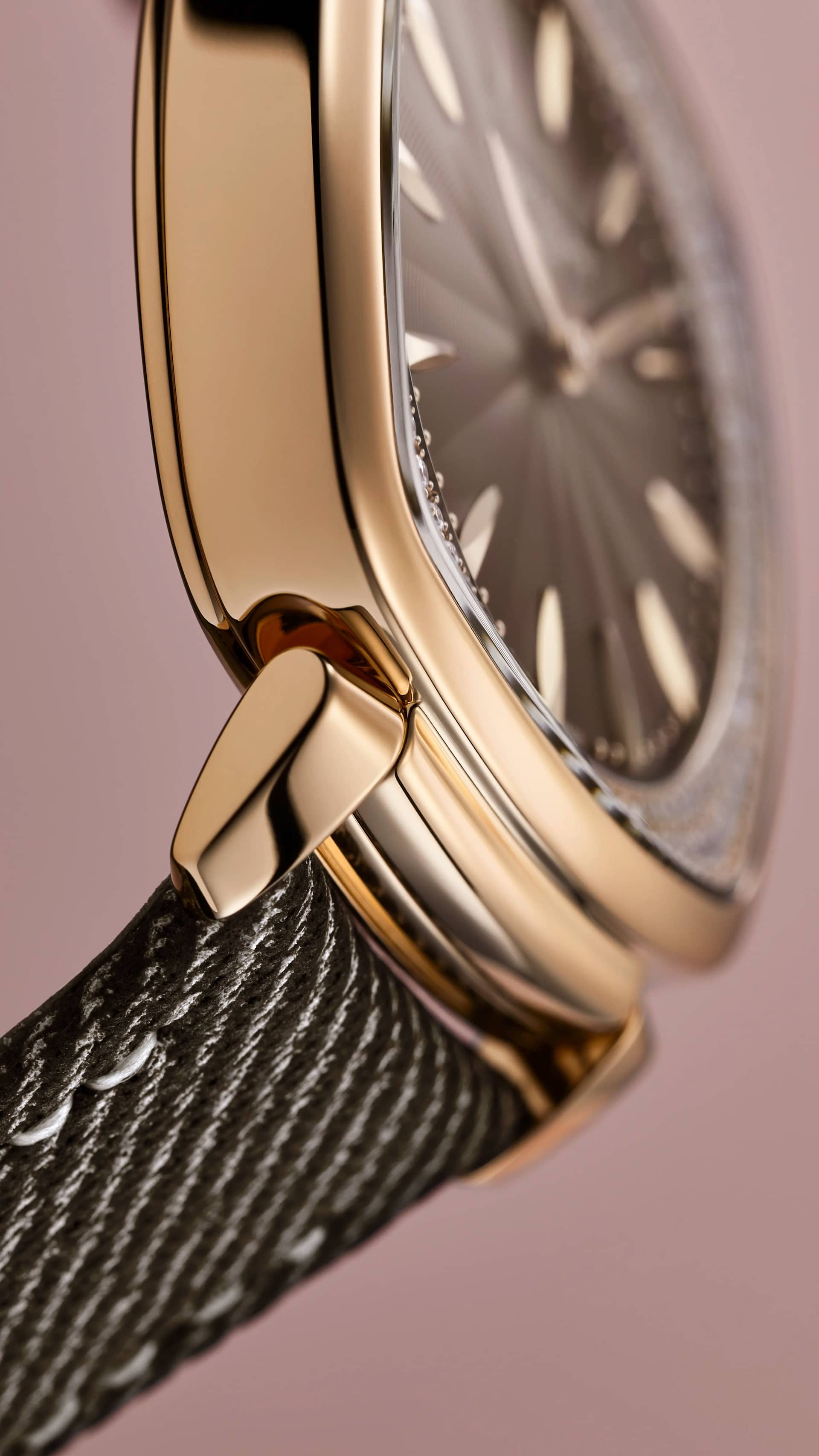 PP_7043R_001_DET_BRACELET_CASE_01