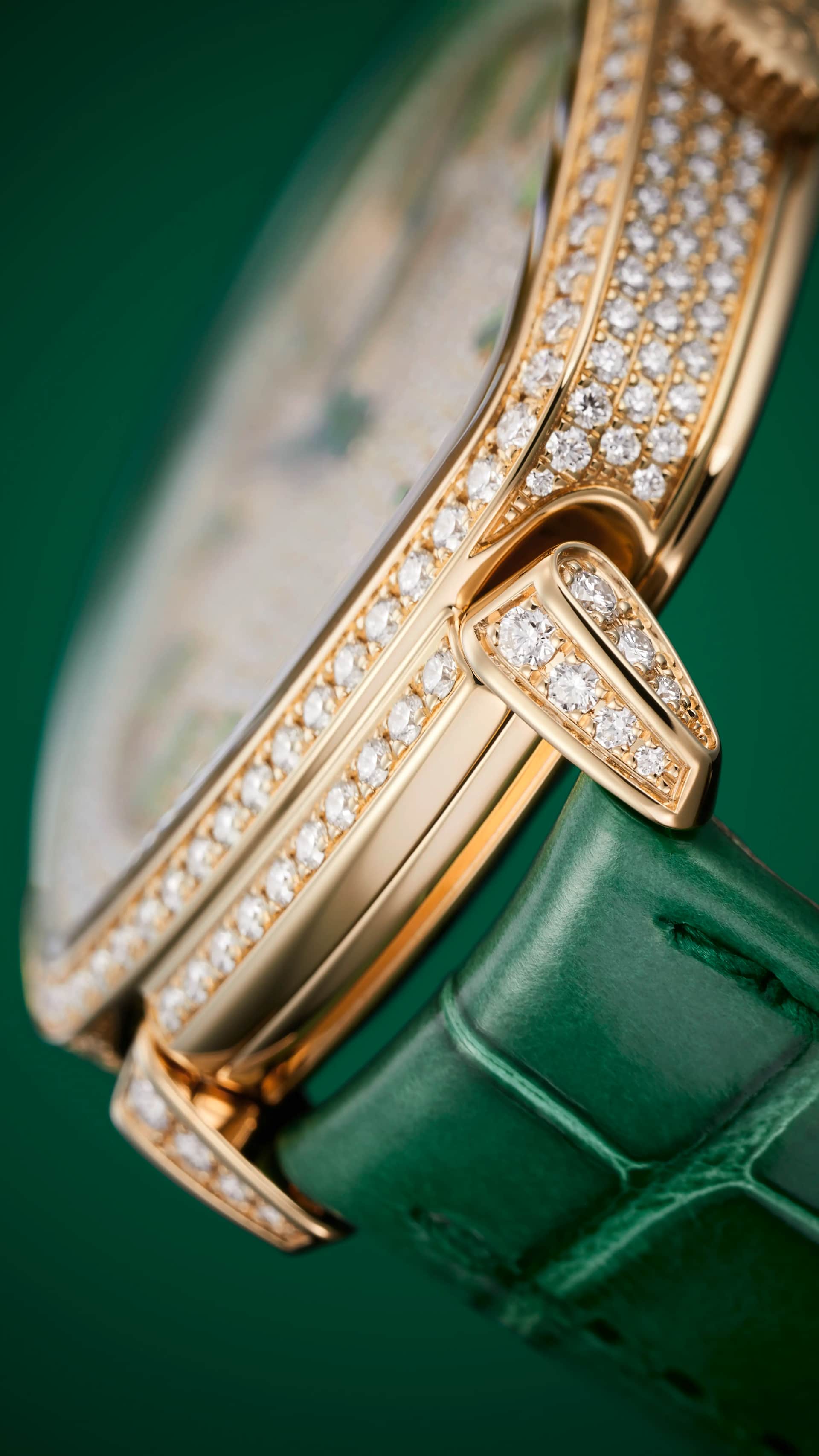 PP_7043_250R_001_DET_BRACELET_CASE_01