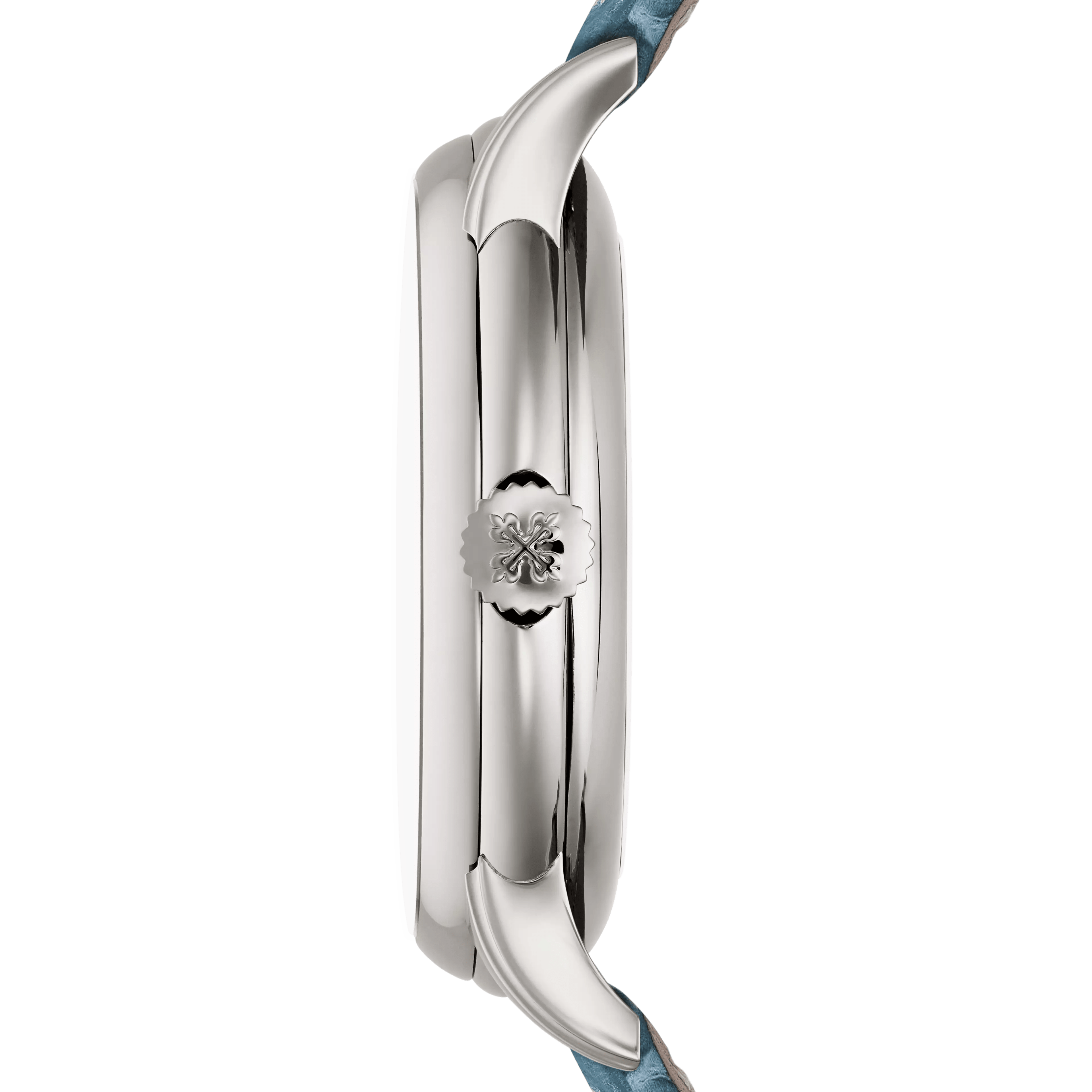 PP_5178G_012_PRO_3H_BRAC1
