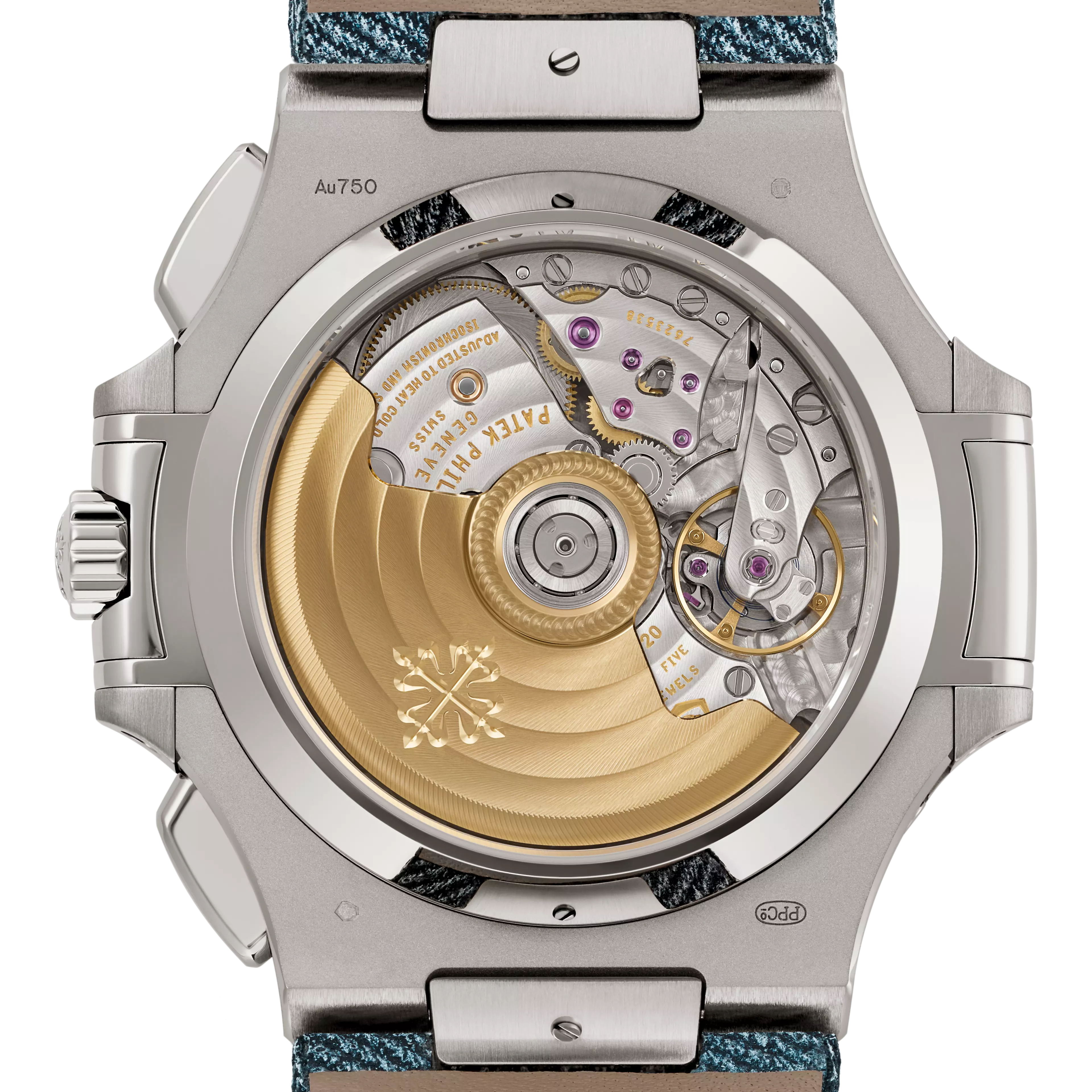 PP_5980_60G_001_DOS_BRAC1